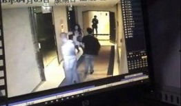 各大餐厅爆料视频合集下载,美食背后的故事与真相